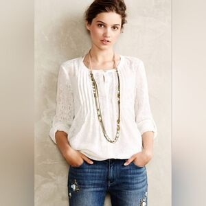 Meadow Rue Anthropologie Willow Garden Pin Tuck Embroidered Sheer Blouse In S